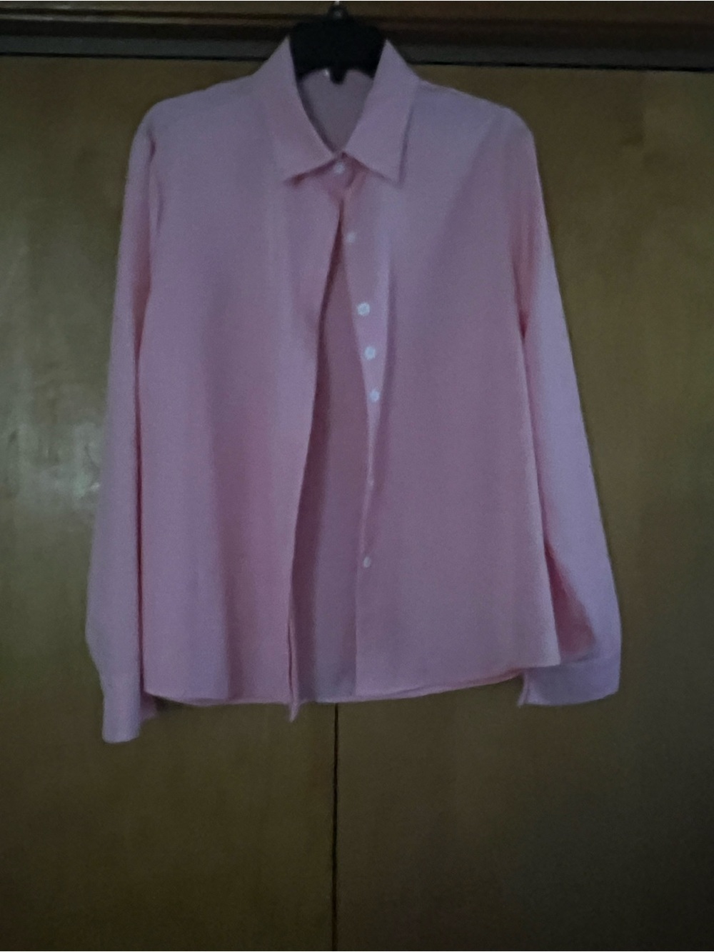 Women Pink Long-Sleeve Button-Up Blouse